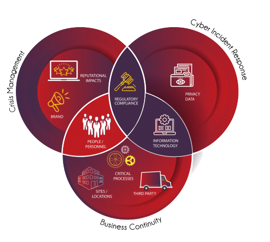 image removebg preview 19