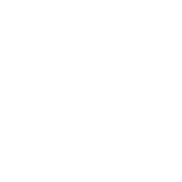 Prioritizing investments